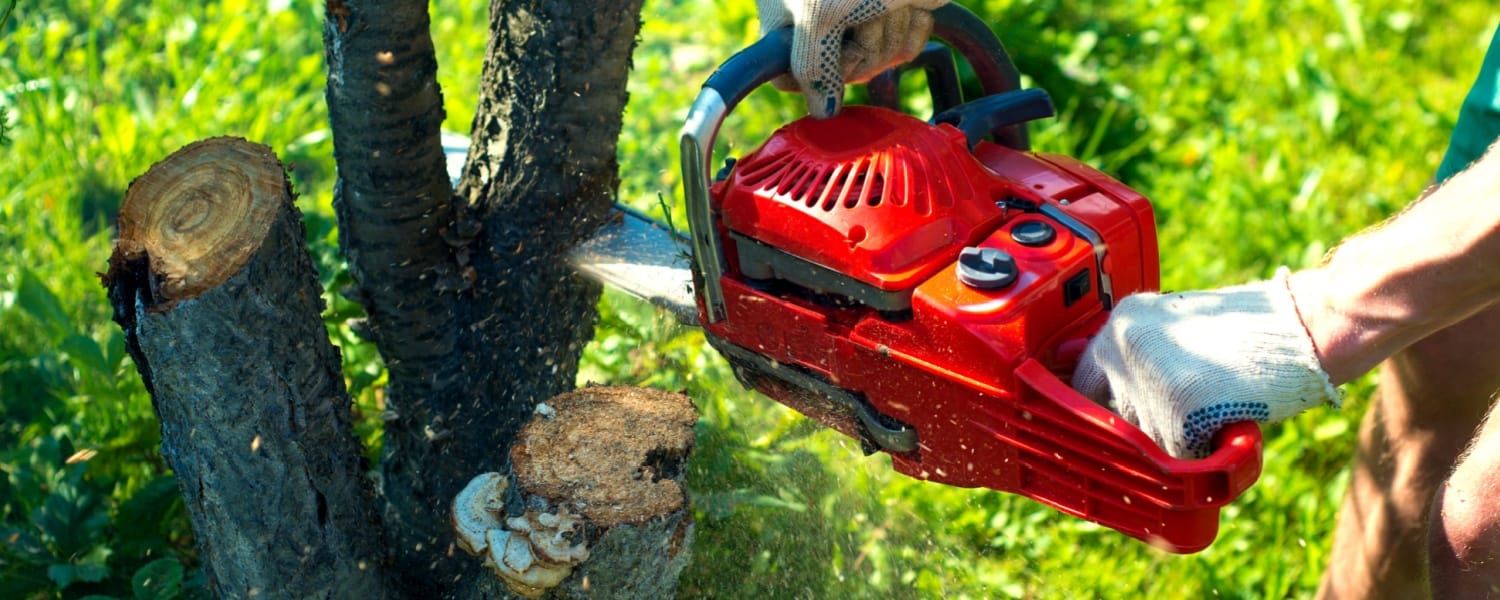 Tree Trimming Normal IL