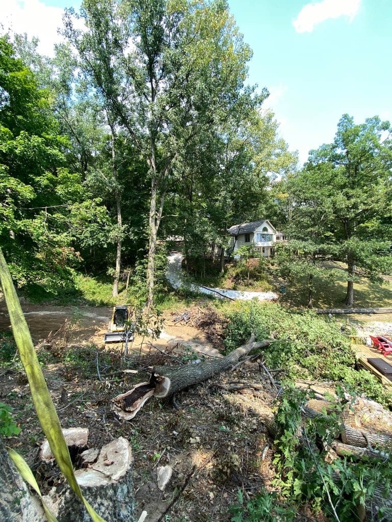 Emergency Tree Service East Peoria IL