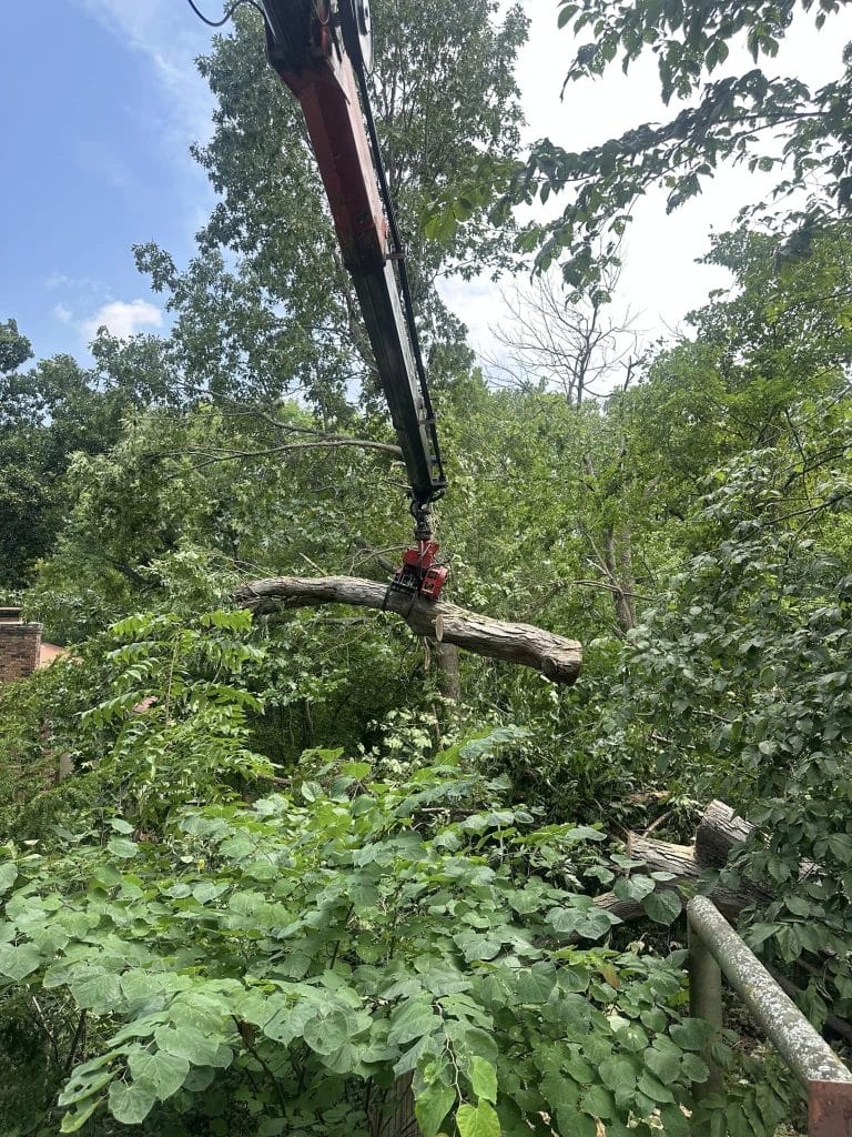 Tree Service Bartonville IL