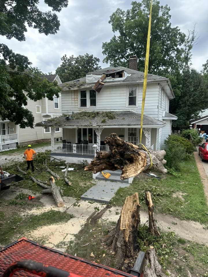 Emergency Tree Service Peoria IL