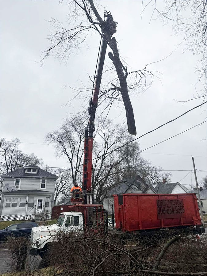 Importance of Emergency Tree Removal Peoria, IL