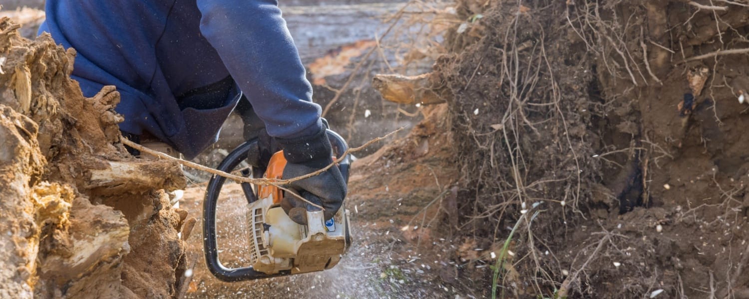 Tree Service Peoria IL