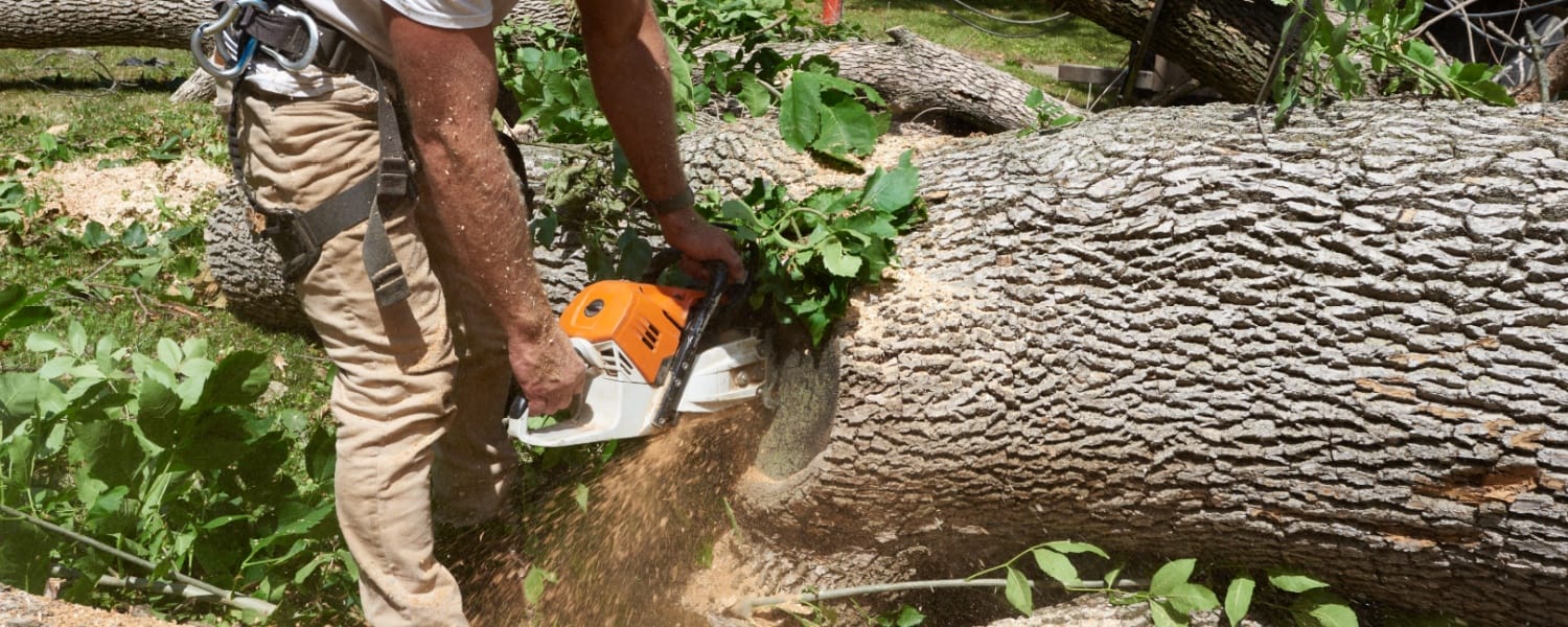 Tree Service Normal IL