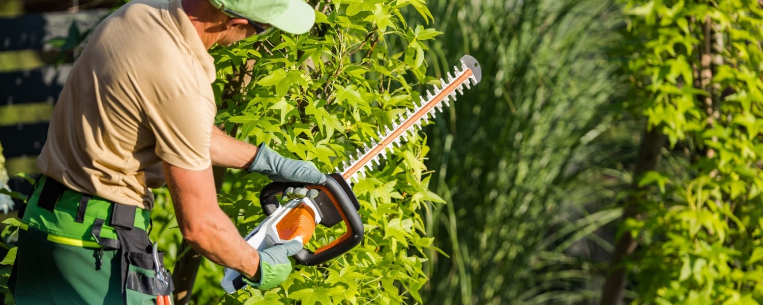 Tree Service Pekin IL